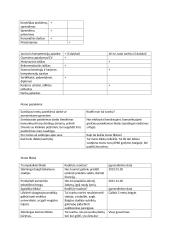 Mano karjeros planas 2 puslapis