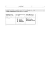 Mano karjeros planas 3 puslapis