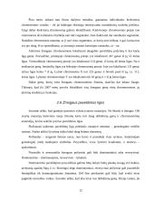 Chromosomos ir žmogaus kariotipo savitumas 12 puslapis