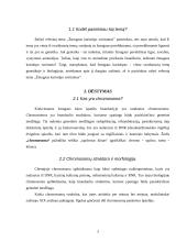 Chromosomos ir žmogaus kariotipo savitumas 3 puslapis