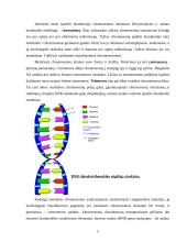 Chromosomos ir žmogaus kariotipo savitumas 5 puslapis