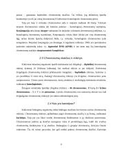 Chromosomos ir žmogaus kariotipo savitumas 9 puslapis