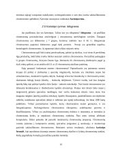 Chromosomos ir žmogaus kariotipo savitumas 10 puslapis