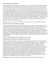 Koks yra gyvenimas be prasmės gyventi? 