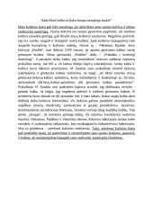 Kada kitos kultūros įtaka tampa pavojinga tautai?