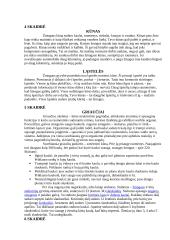 Žmogaus kūnas 2 puslapis