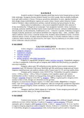 Žmogaus kūnas 3 puslapis