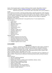 Žmogaus kūnas 4 puslapis