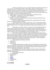 Žmogaus kūnas 7 puslapis