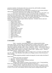 Žmogaus kūnas 9 puslapis