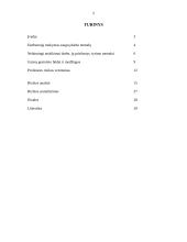 Profesinės rizikos įvertinimas 2 puslapis