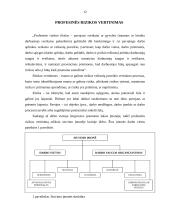 Profesinės rizikos įvertinimas 12 puslapis