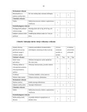 Profesinės rizikos įvertinimas 16 puslapis