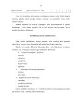 Profesinės rizikos įvertinimas 20 puslapis