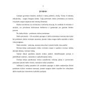 Profesinės rizikos įvertinimas 3 puslapis