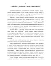 Profesinės rizikos įvertinimas 4 puslapis