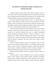 Profesinės rizikos įvertinimas 6 puslapis