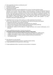 Skirtingų transporto rūšių terminalai 11 puslapis