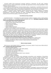 Skirtingų transporto rūšių terminalai 6 puslapis