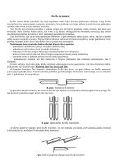 Skirtingų transporto rūšių terminalai 7 puslapis