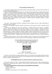 Skirtingų transporto rūšių terminalai 8 puslapis