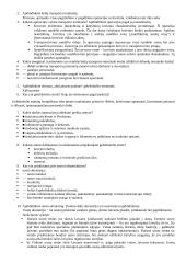 Skirtingų transporto rūšių terminalai 10 puslapis