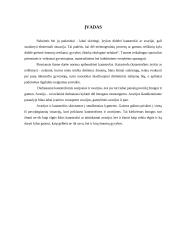 Žmonių gelbėjimas gaisro metu 2 puslapis