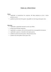 Žmonių gelbėjimas gaisro metu 3 puslapis