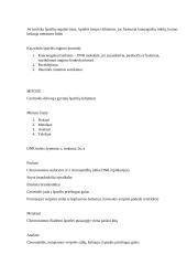 Fotosintezės ir mitozės teorija 11 kl. 6 puslapis