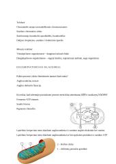 Fotosintezės ir mitozės teorija 11 kl. 7 puslapis