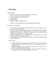 Prancūzijos, Italijos, Vokietijos, Portugalijos ir Japonijos šalių klientų aptarnavimo ypatumai 4 puslapis