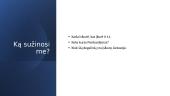 Baltic Petroleum 2 puslapis