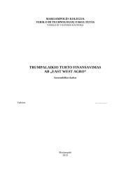 Trumpalaikio turto finansavimas AB "East West Agro"