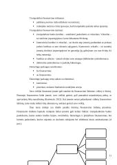 Trumpalaikio turto finansavimas AB "East West Agro" 11 puslapis