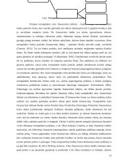 Trumpalaikio turto finansavimas AB "East West Agro" 12 puslapis