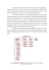 Trumpalaikio turto finansavimas AB "East West Agro" 6 puslapis