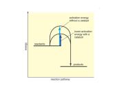 Collision Theory (chemija anglų kalba) 8 puslapis