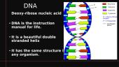 Macromolecules and DNA 3 puslapis