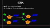 Macromolecules and DNA 6 puslapis