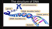 Macromolecules and DNA 8 puslapis