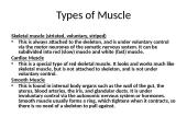Types of muscle 2 puslapis