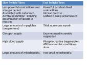 Types of muscle 12 puslapis