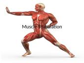 Types of muscle 13 puslapis