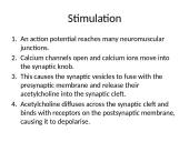 Types of muscle 14 puslapis