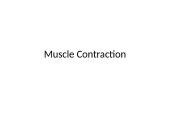 Types of muscle 15 puslapis