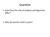Types of muscle 5 puslapis