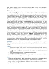 Kristijono Donelaičio poemos "Metai" analizė 3 puslapis