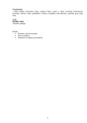 Auklėjamojo renginio planas: "Kalėdinis vakarėlis" 4 puslapis