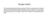 Laurent Gounelle "Žmogus, kuris norėjo būti laimingas" 7 puslapis