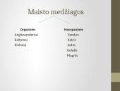 Žmogaus virškinimas, virškinimo sistema 2 puslapis